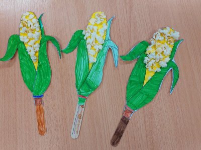 Když je velké teplo, na kukuřici roste popcorn