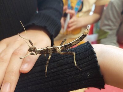 Návštěva strašilek ve školní družině