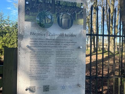 Den Země